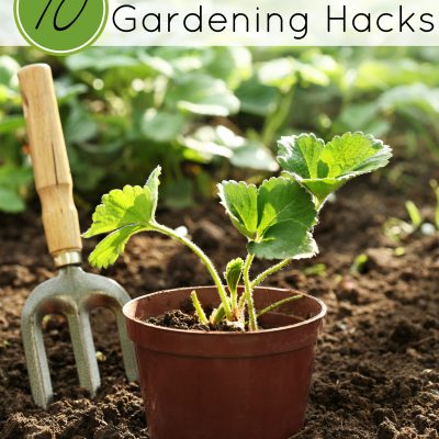10 Must-Try Gardening Hacks