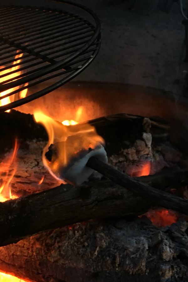 No need to skip the campfire tradition of making s'mores on your next campout. These Gluten Free S'mores are so delicious and even easier than traditional s'mores, but just as satisfying.