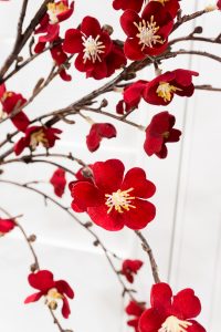 red flowers