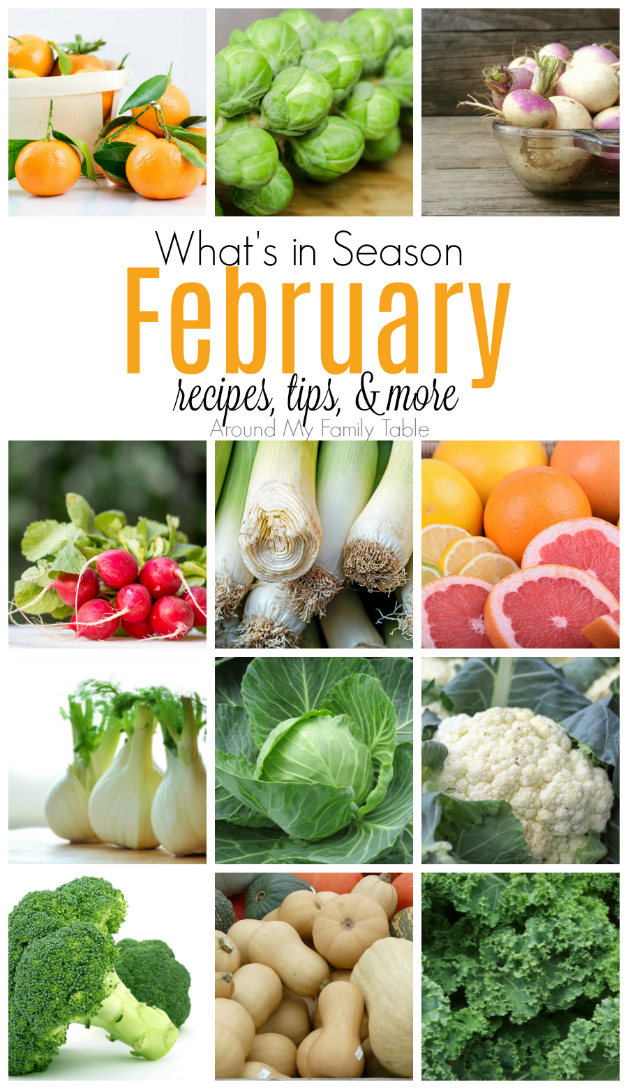 This February -- What's In Season Guide is full of tips and recipes to inspire you to shop and eat seasonally. #seaonalproduce #whatsinseason #february