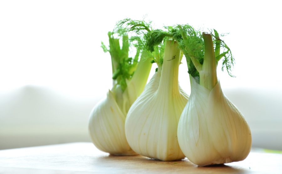 What's in Season Guide: Fennel