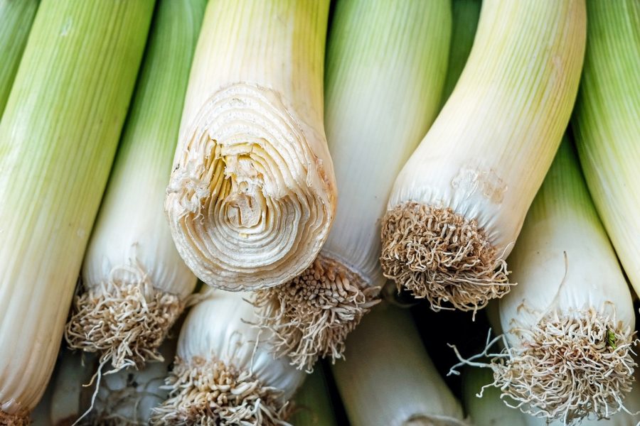 What's in Season Guide: Leeks