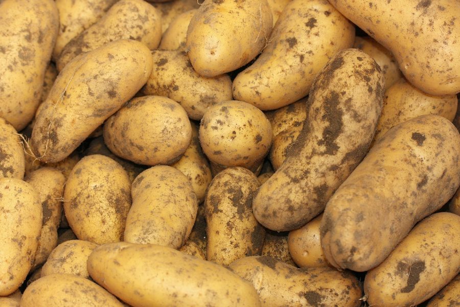 January -- What's in Season Guide: Potatoes