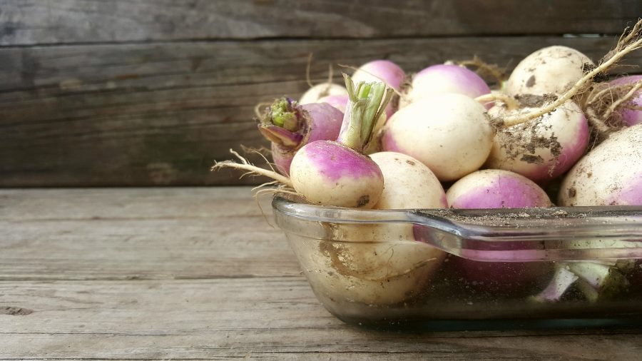 What's in Season Guide: Turnips