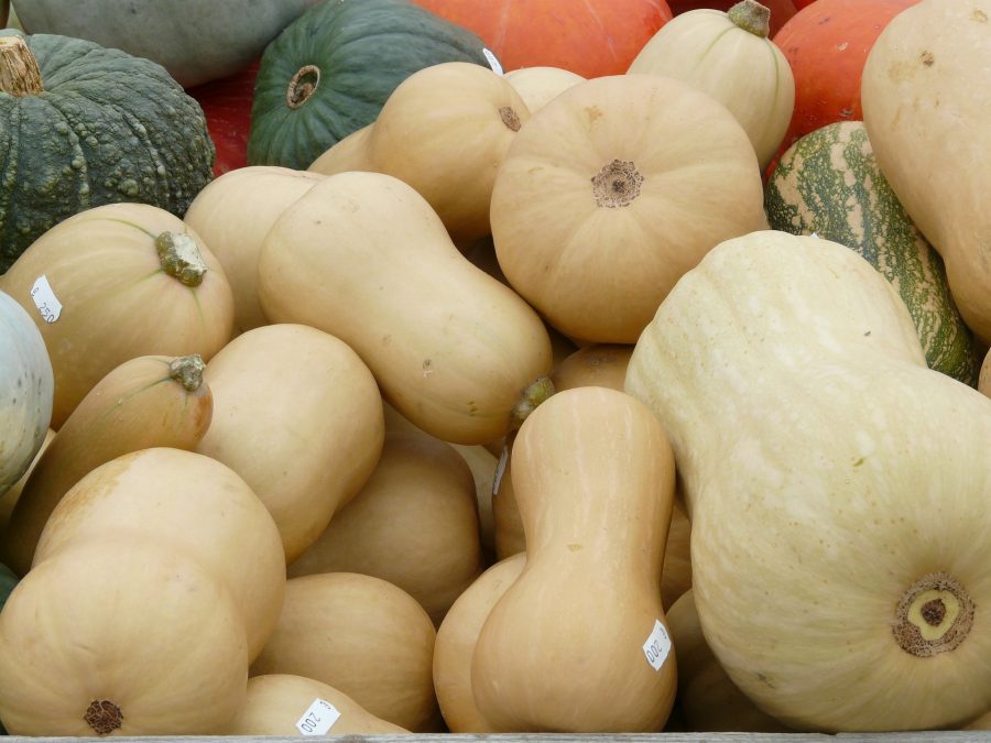 What's in Season Guide: Winter Squash