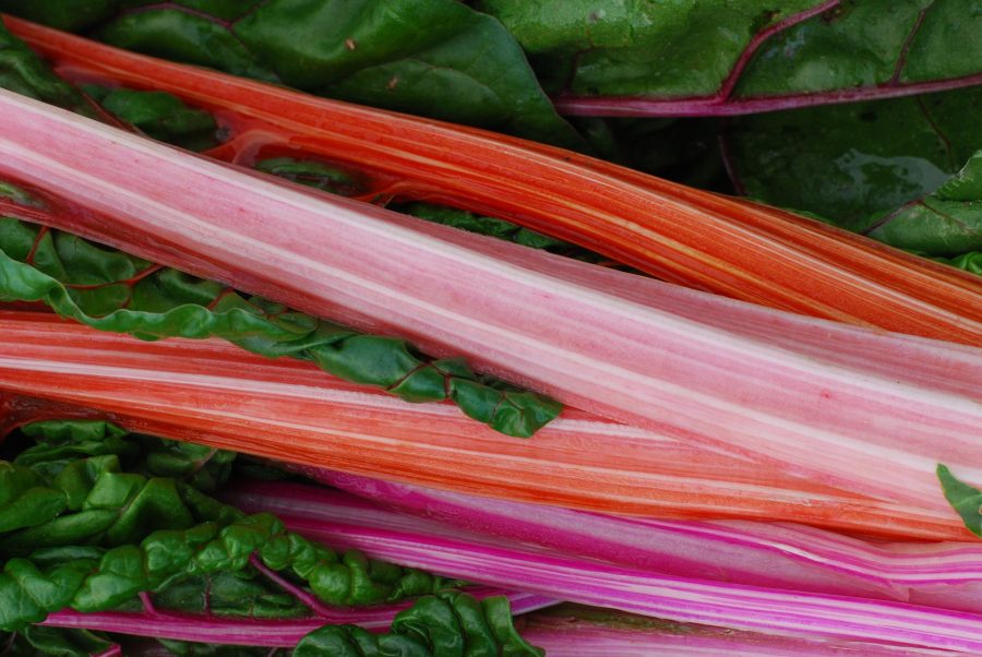 What's in Season Guide: rhubarb