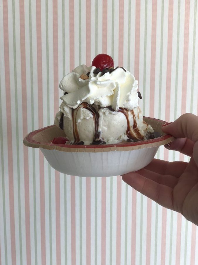 Doughnut Sundae at Disney's Magic Kingdom