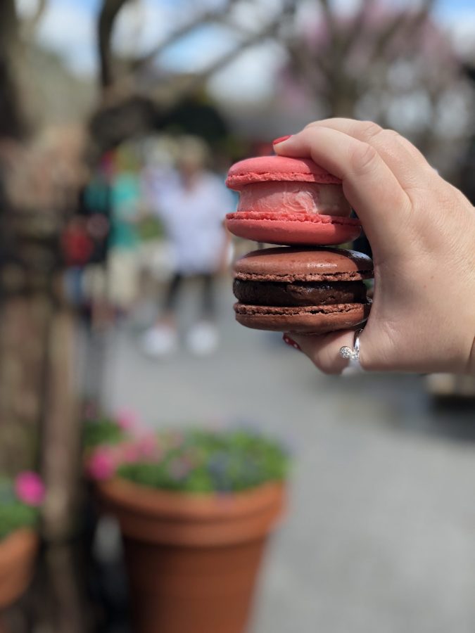 Macaron Ice Cream Sandwiches at Epcot