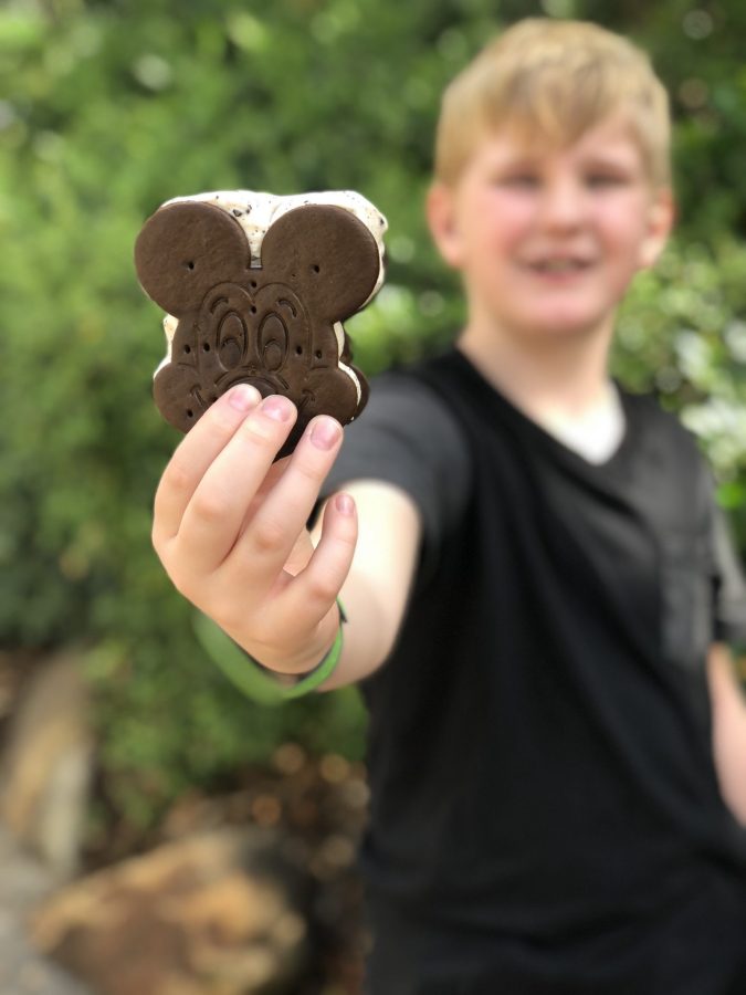 Mickey Ice Cream Sandwiches at Walt Disney World