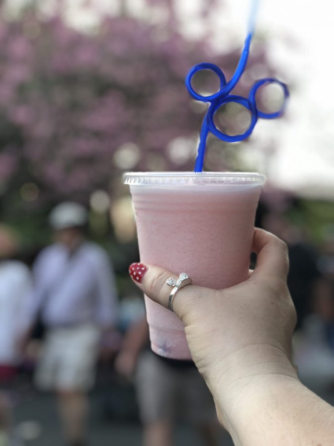 Raspberry Lemonade Slushy at Disney's Magic Kingdom