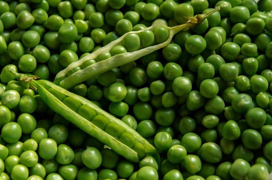 What's in Season -- Peas