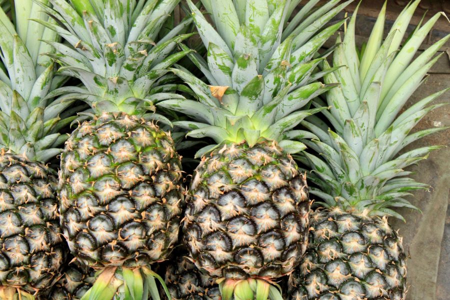 What's in Season -- Pineapple