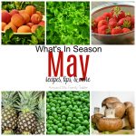 May — What’s in Season Guide