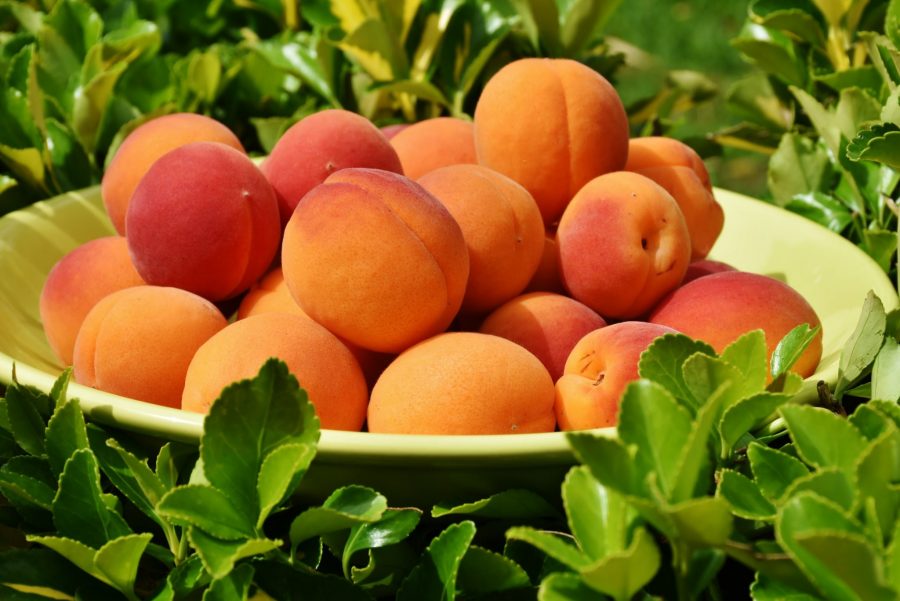 What's in Season -- Apricots