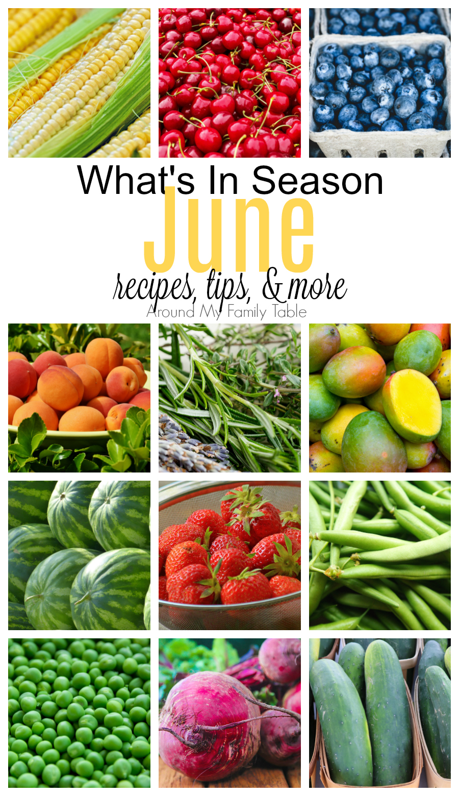 June has is a mixture is full of summer berries and stone fruit, with a few vegetables thrown in too. Find out all about June Seasonal Produce in this June -- What's In Season Guide. #seasonalproduce #whatsinseason #eatseasonally via @slingmama