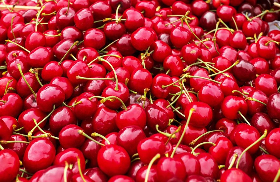 What's in Season -- Cherries
