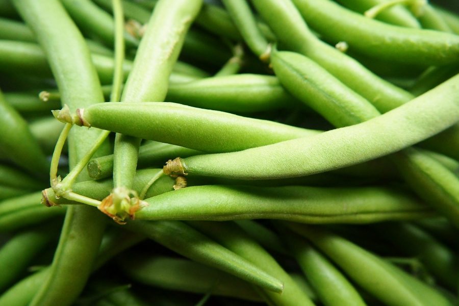 What's in Season -- Green Beans