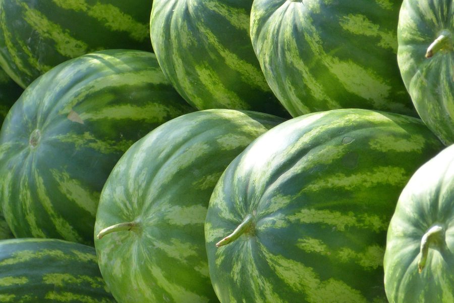 What's in Season -- Watermelon