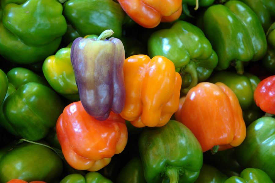 What's In Season--Bell Peppers