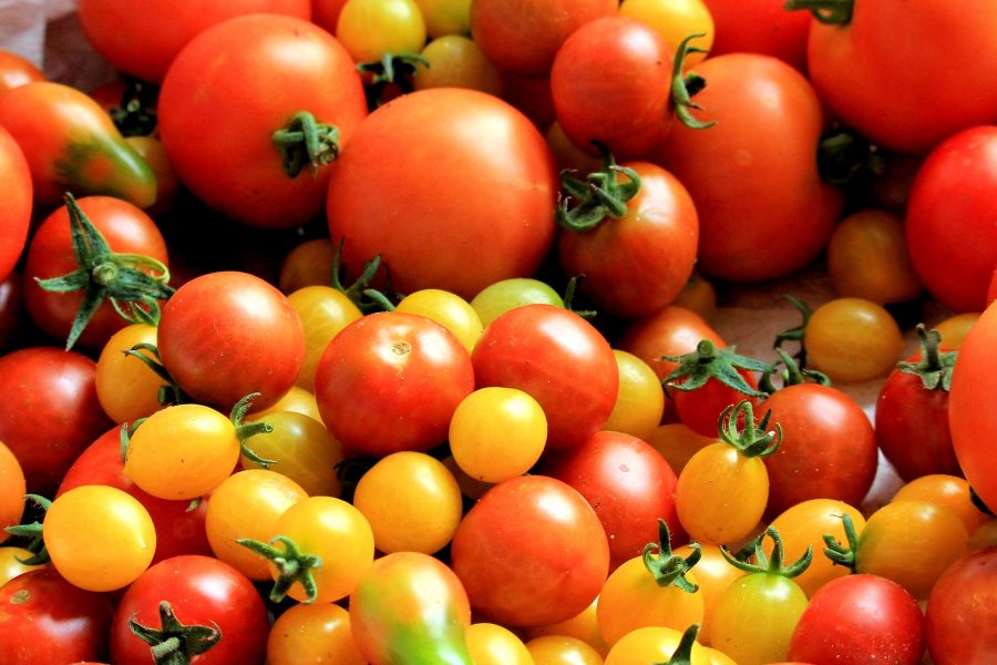 What's In Season--Tomatoes