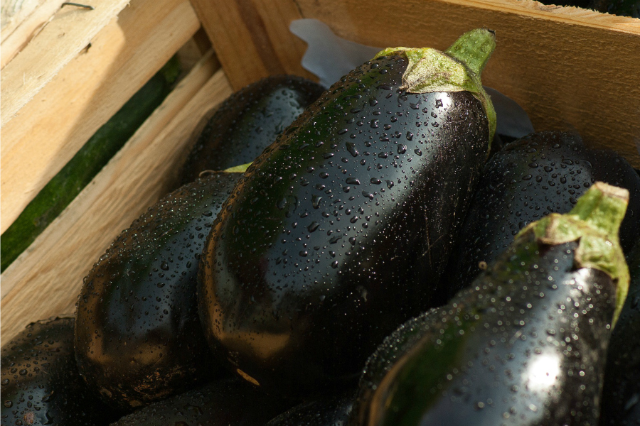 What's In Season--Eggplant