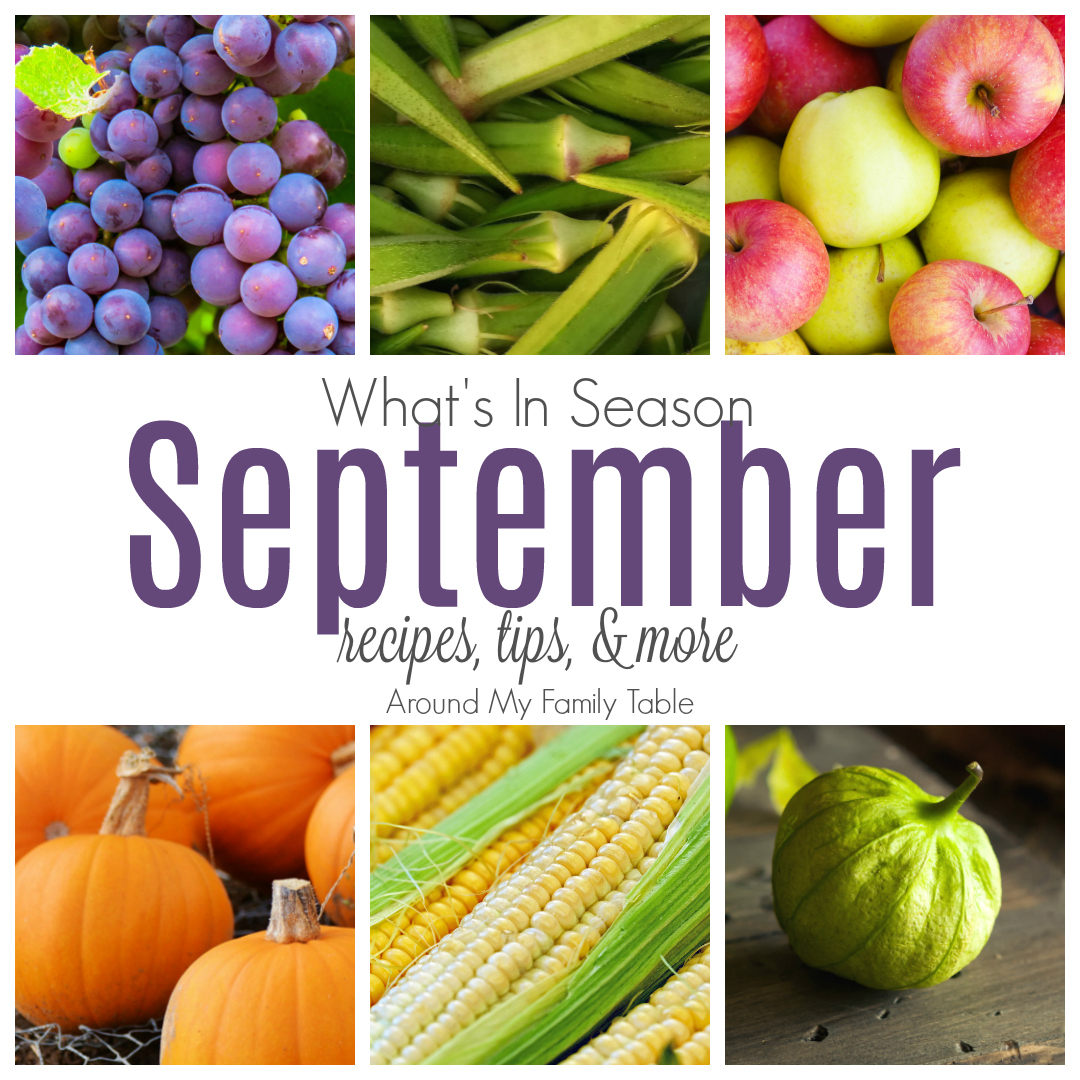 September What's In Season Guide Around My Family Table