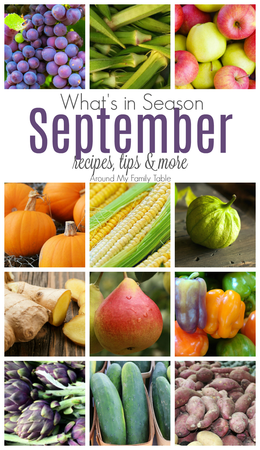 Bring on pumpkin & apple season! This September Seasonal Produce guide has recipes, tips, and more for everything in season this month. #eatseasonally #seasonalproduce via @slingmama