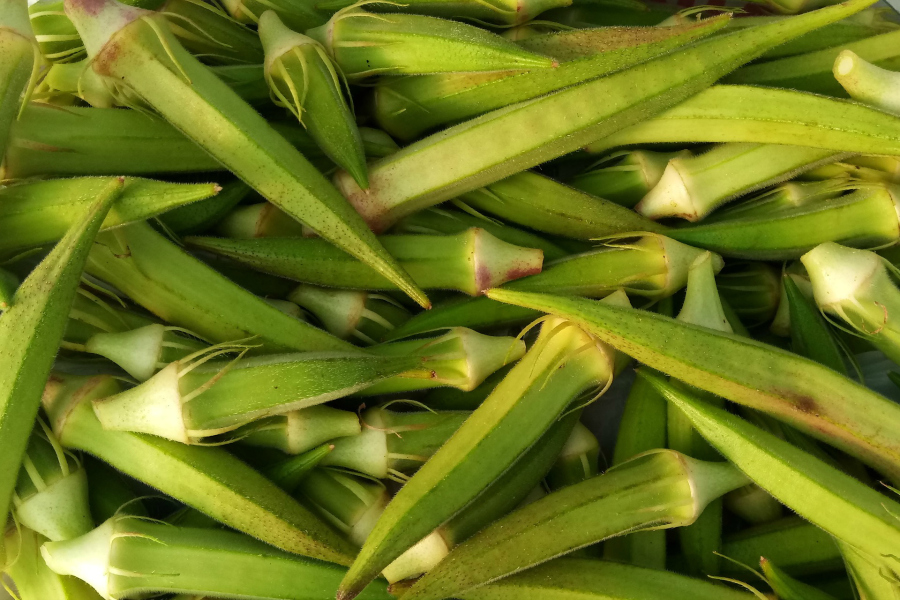 What's In Season -- Okra