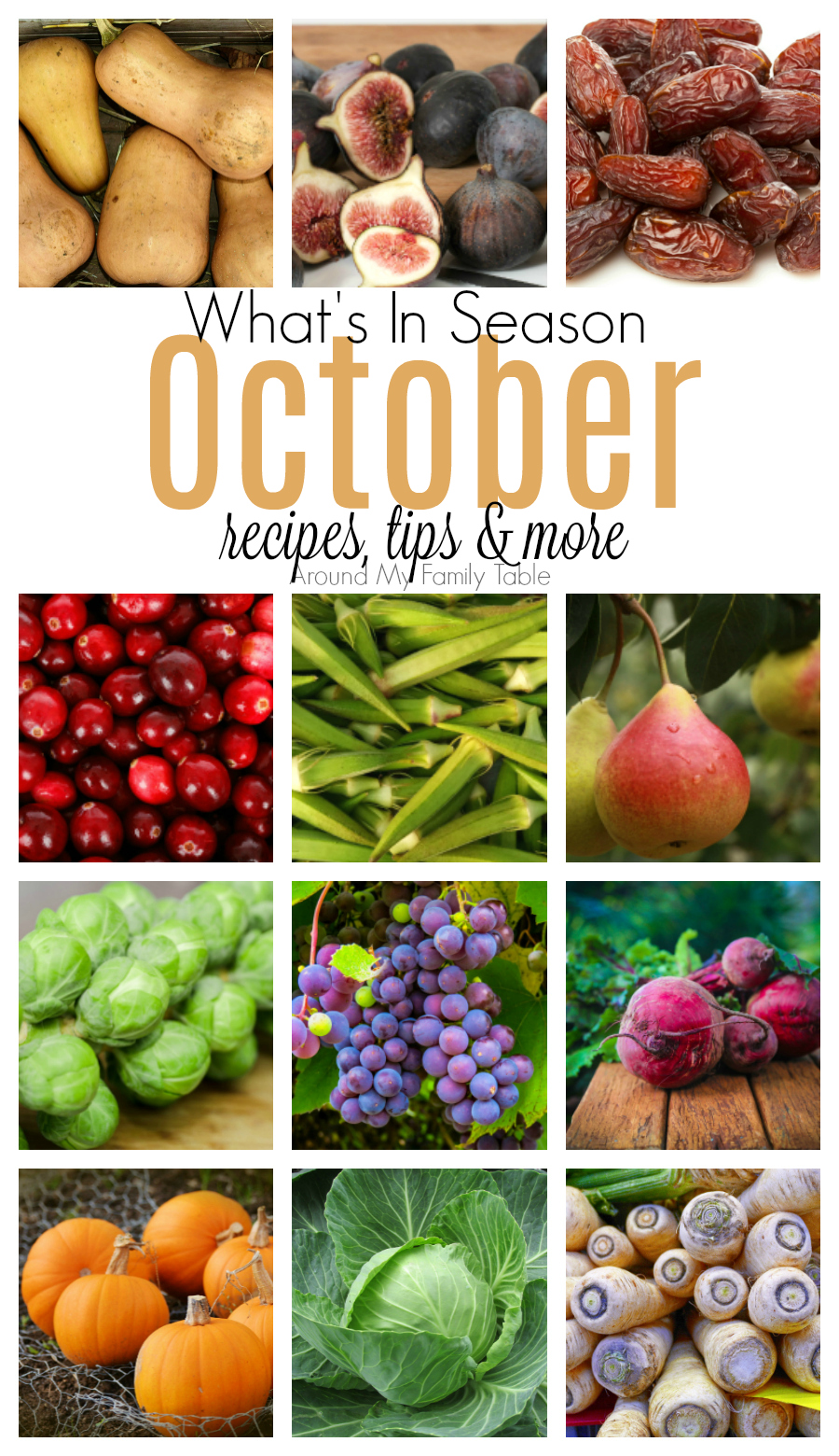 Hello on pumpkin & winter squash! This October Seasonal Produce guide has recipes, tips, and more for everything in season this month. #seasonalproduce #seasonal #october via @slingmama