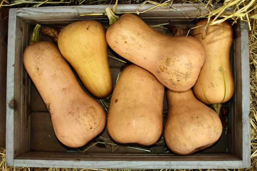 What's In Season -- Butternut Squash