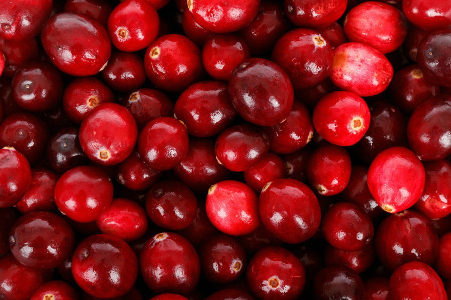 What's In Season -- Cranberries