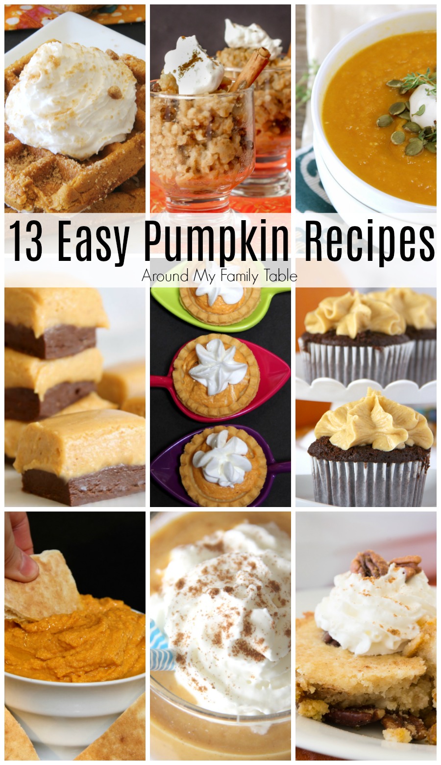 Fall is pumpkin season!! Looking for a way to use more pumpkin this autumn? Check out these easy pumpkin recipes that will blow your mind.