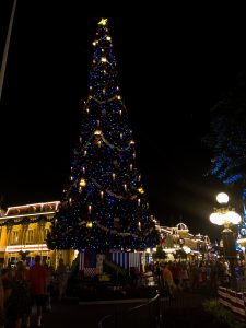 Christmas Tree at Magic Kingdom