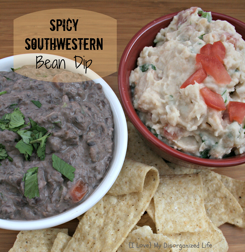 Spicy Southwestern Bean Dip Around My Family Table