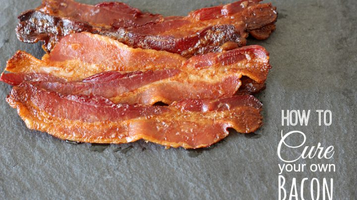 How To Cure Your Own Bacon Around My