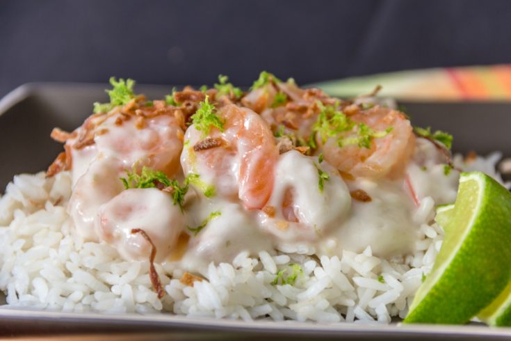 https://www.aroundmyfamilytable.com/wp-content/uploads/2018/11/creamy-coconut-shrimp-1-800-735x490.jpg