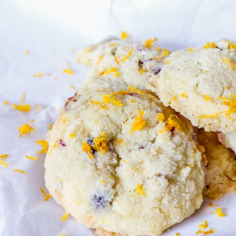 Orange Cranberry Sugar Cookies {Gluten & Dairy Free}