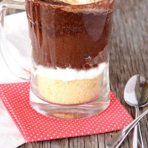 S'Mores Mug Cake