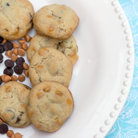 Dark Chocolate Chip Butterscotch Cookies