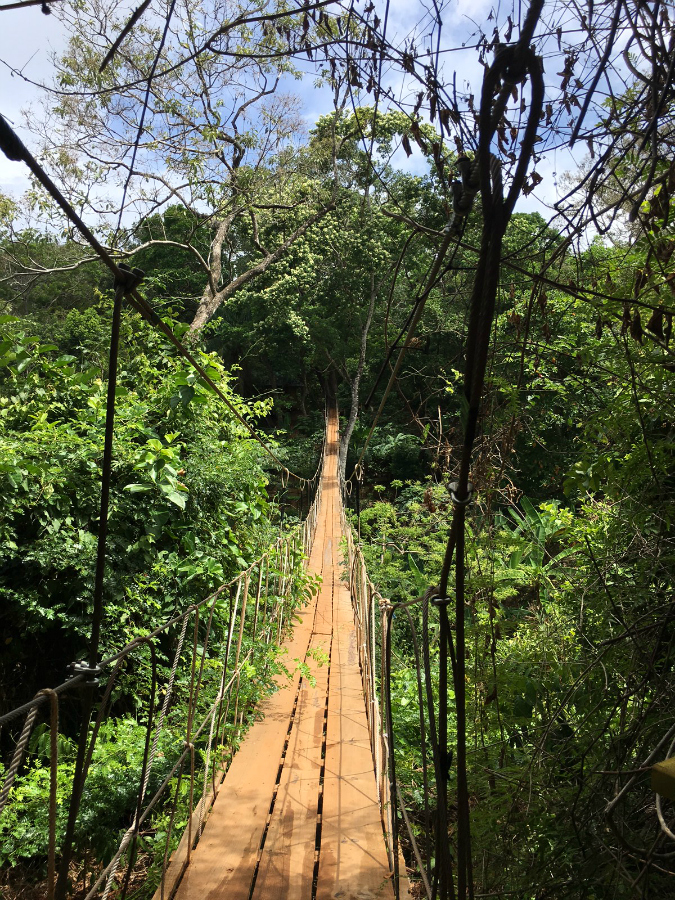 The Mayan Eden Eco Park in Roatan, Honduras is a fun and interactive experience the whole family will enjoy.