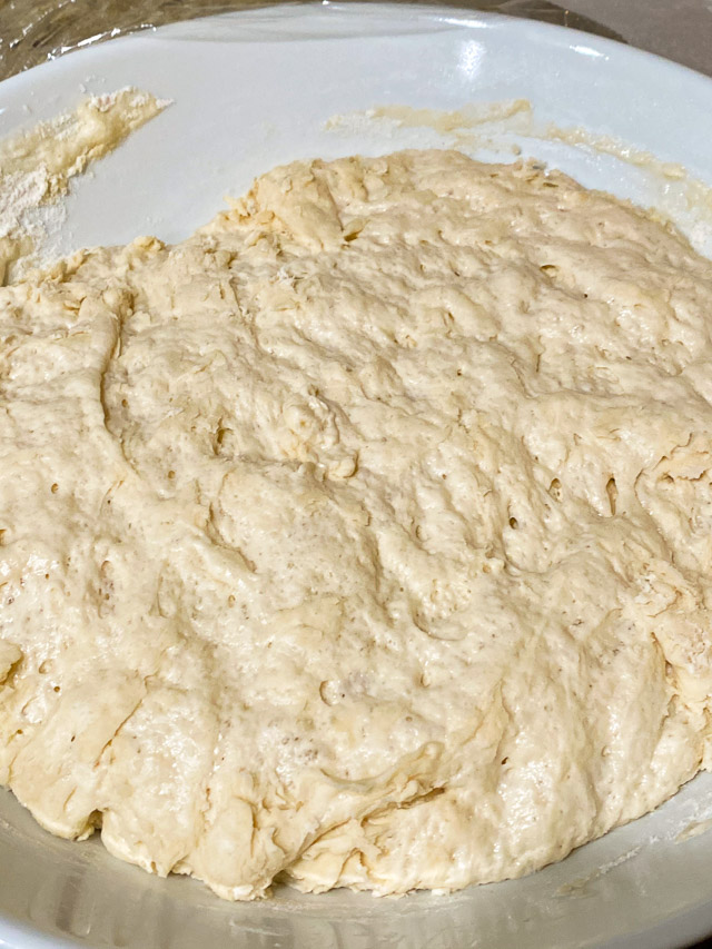 dough rising for no knead bread