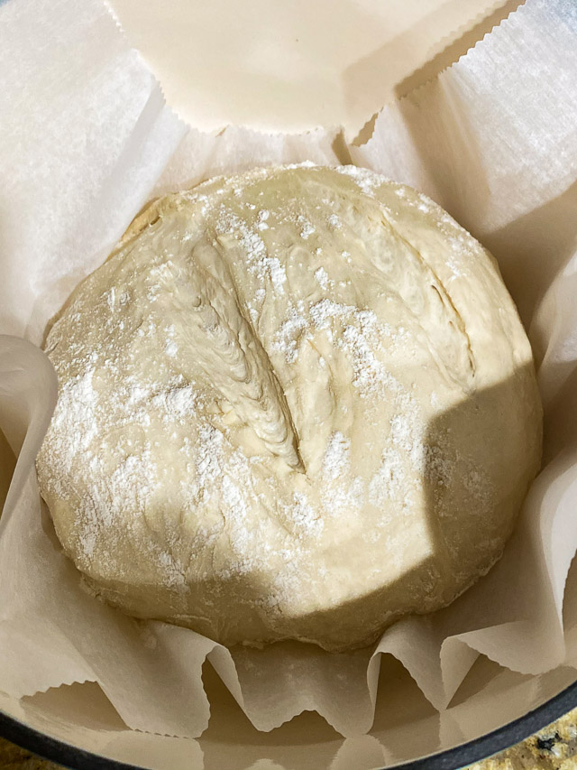 dough rising for no knead bread