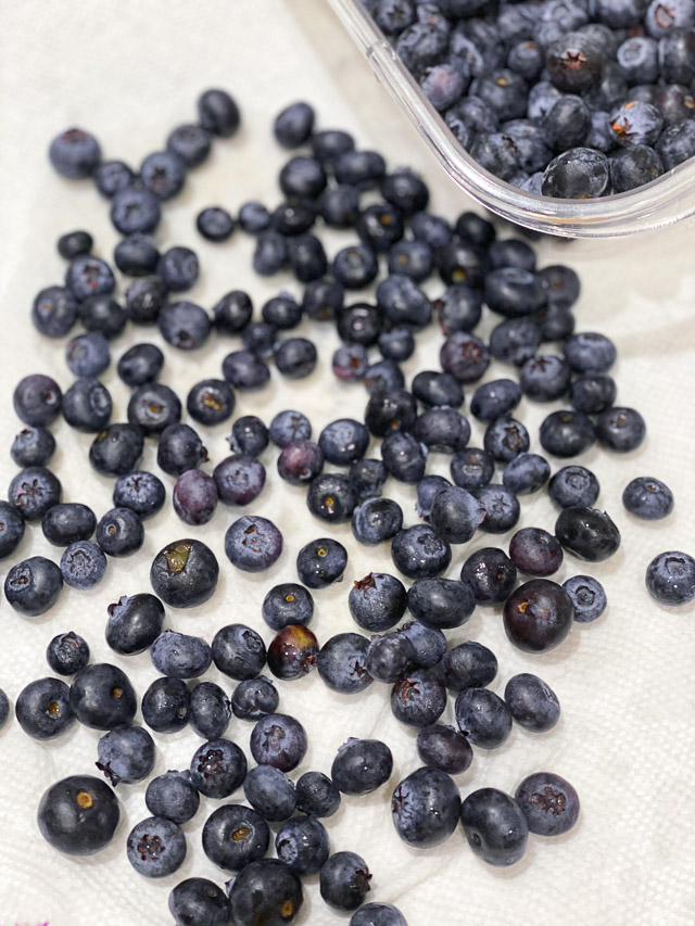 blueberries drying on paper towels
