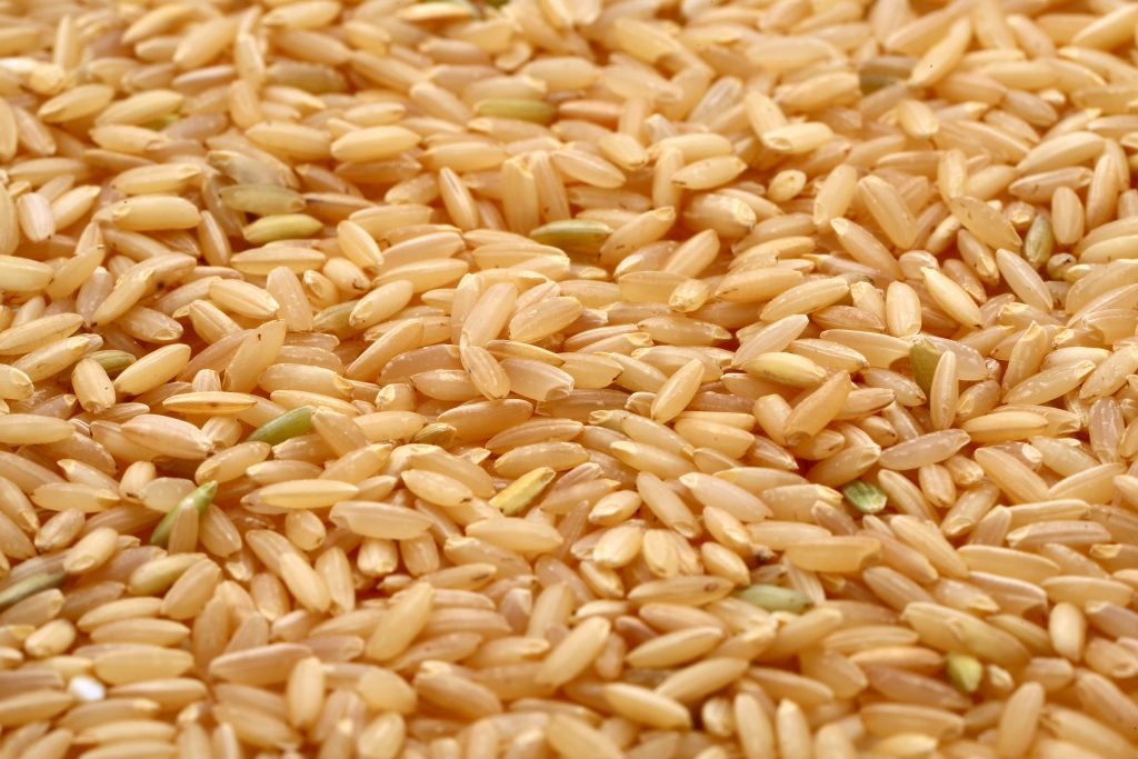 uncooked brown rice