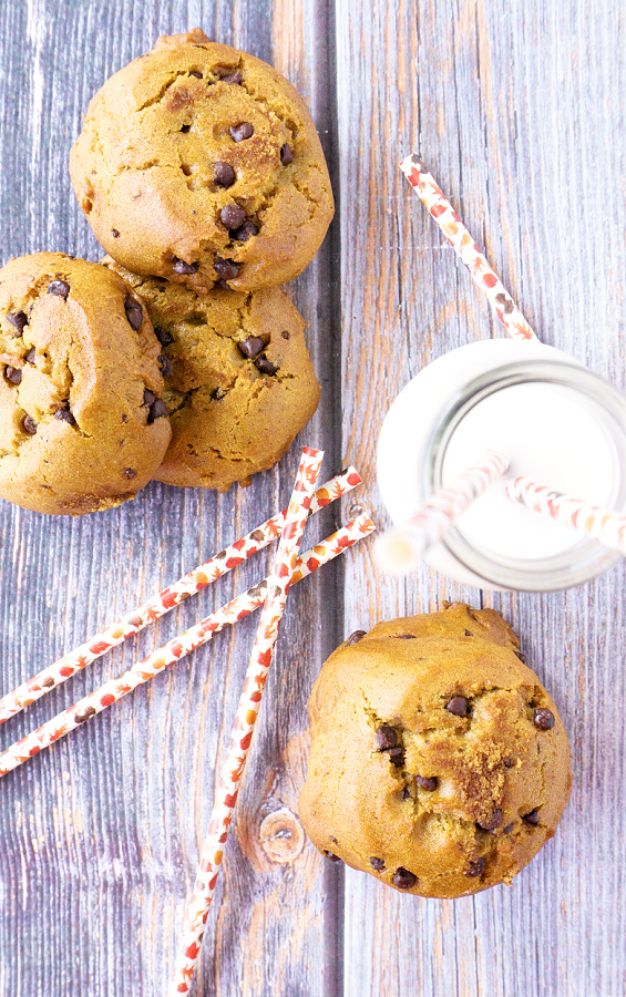 overhead: homemade vegan pumpkin cookies studded with chocolate chips